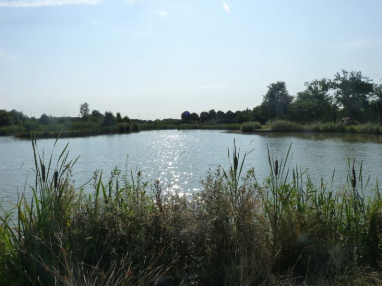 JOUY-LE-POTIER